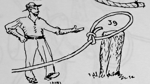 Picture of Bowline knot, adopted from The Ashley book of knots